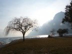 Il lago d'inverno Il lago d'inverno
