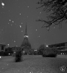 LaMole (Torino) LaMole (Torino)