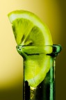 Lemon Light Lemon Light