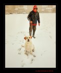 Oggi Shiba... è felice Oggi Shiba... è felice