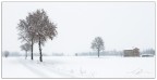 Winter on the plains Winter on the plains