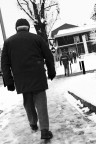 -In fila, lą dove indica la freccia- -In fila, lą dove indica la freccia-