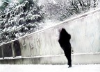 lungo il muro lungo il muro