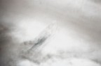 il fantasma delle nevi