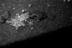 Freddo pungente e neve, gli ingredienti per fiocchi grandi e definiti