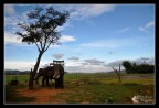 Foto scattata durante il mio viaggio in Vietnam. Dopo la tanta pioggia mi sono risvegliato in un piccolo villaggio nelle risaie con un cielo splendido! Ancora pi bello quando mi son trovato due elefanti che mi aspettavano per farmi fare un giro. 
Spero di essere riuscito ad immortalare al meglio l'atmosfera che ho vissuto. 
La mia D90 mi sta dando grandi soddisfazioni.

Commenti e critiche sempre ben accetti