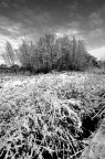 nei dintorni di Ostia (rm) a due passi dal mare... per certificare la nevicata...