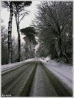 ancora la neve... ancora la neve...