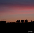 Acquerello. Acquerello.