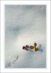 Nient'altro che del bianco cui badare Nient'altro che del bianco cui badare