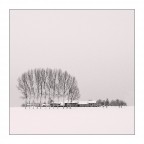 la neve � scesa...