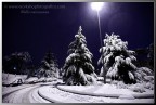Roma, Monte Mario. 10 feb 2012