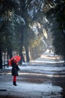 Stamani camminavo per villa Borghese a Roma e l'atmosfera nevosa  stata squarciata da un ombrello rosso...