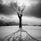 Lo Spirito dell'Inverno Lo Spirito dell'Inverno