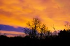 foto modificata con photoshop ( ho aggiunto met cielo)