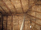 Ecologia Sem Terra - Brazil-Tocantins
La capanna  di legno e paglia, ma la lampadina  a basso consumo energetico.
Porto Nacional - Tocantins
Capanna di famiglia Sem Terra