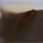 Senza Titolo Senza Titolo