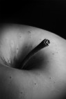 -Mela- -Mela-
