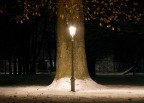 Magritte ?