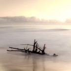 Away From Home Away From Home