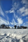 Paesaggio Invernale Paesaggio Invernale