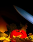 Tomato point of view Tomato point of view