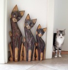 io ho fatto! avanti il prossimo... io ho fatto! avanti il prossimo...