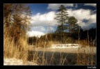 Iced Lake Iced Lake