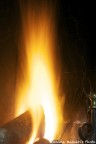 Fuoco Fuoco