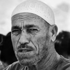 Lupo di mare Lupo di mare