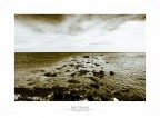 Sea Stones Sea Stones