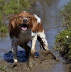 Una stella impantanata :D Una stella impantanata :D