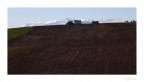 Colline Maceratesi
