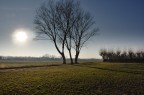 Ho notato questi tre alberi in un immenso prato,ho tentato di comporre in controluce per un risultato pi interessante(secondo me).Il fosso che sale da sinistra e le ombre conducono ai tre soggetti.Dati exif: Nikon d90,18-200mm 18mm f16 Ts 1/320 sec ISO 100 con treppiede.