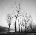 Filare Filare