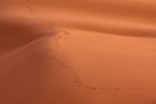 ' , ' , ' , ' , ' , ' , ' , ' , ' , ' , ' , ' ' , ' , ' , ' , ' , ' , ' , ' , ' , ' , ' , '