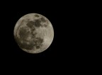 Luna Piena Luna Piena