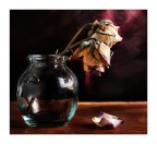 Bozzetto #2 (still life) Bozzetto #2 (still life)