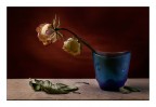 Still life Still life