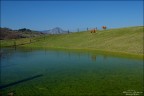 Pace e armonia nella natura Pace e armonia nella natura