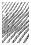 ..linee... ..linee...