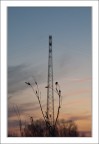Perversa Natura