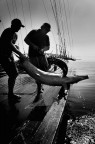 pesca pesca