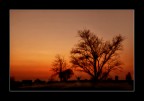 Tramonto al Parco Nord