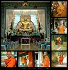 BUDDISMO: sfumature di rosso, di giallo e di vita BUDDISMO: sfumature di rosso, di giallo e di vita