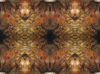Corteccia