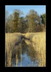Il fosso