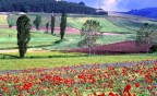 Paesaggio primaverile Paesaggio primaverile