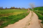 Strada di campagna?