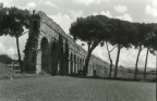 Roma-acquedotto romano sulla via Appia Roma-acquedotto romano sulla via Appia